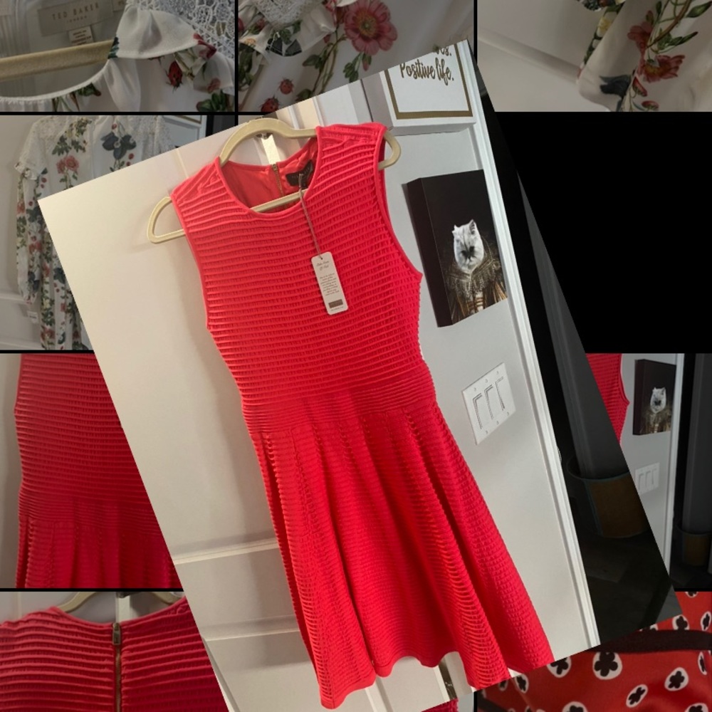 Ted Baker beautiful dress 👗 size 8 - Picture 1 of 8